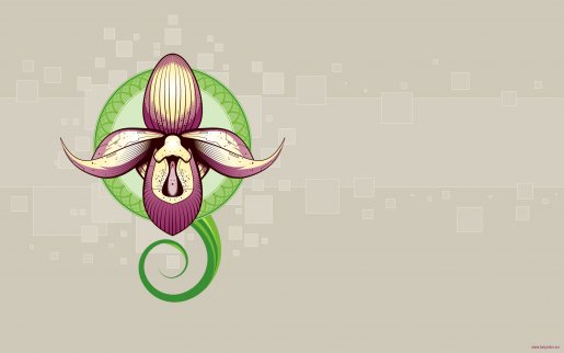 1920x1200-digital-orchid.jpg