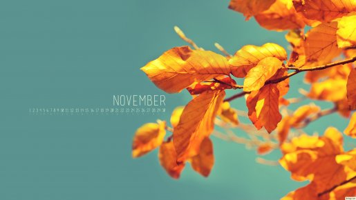 2012_november_2560ws_calendar.jpeg