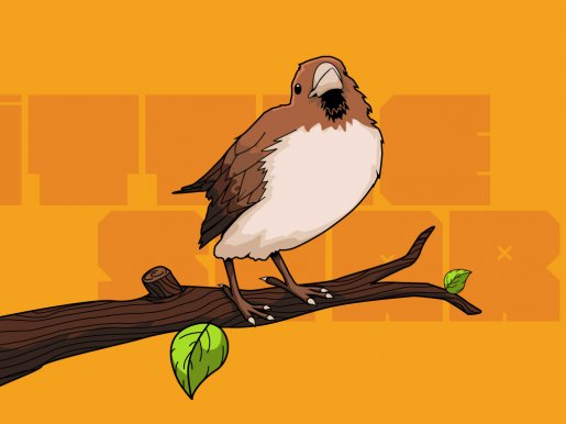 Little Sparrow 1024x768 .jpg