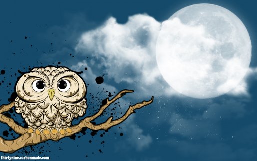 Owl - With Addy.jpg