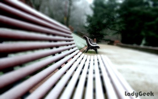 winter-bench--.jpg