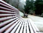 winter-bench--.jpg