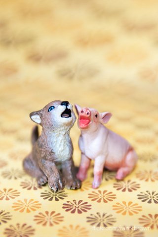 dog-and-pig-iphone.jpg