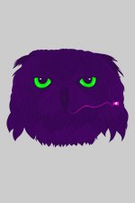 Owl-1024.jpg