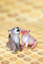 dog-and-pig-iphone.jpg